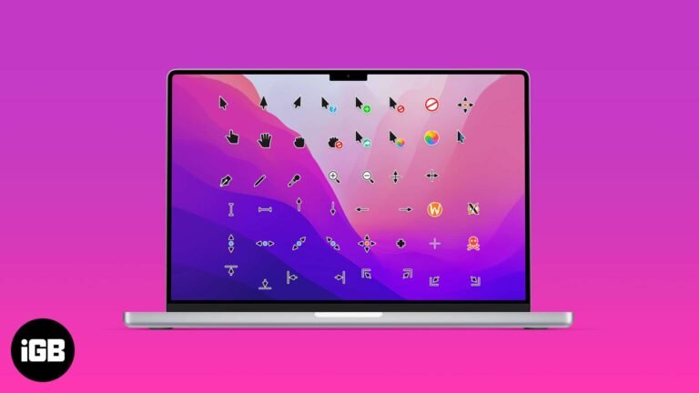 Wingad Cursors: A New Way to Express Yourself Online