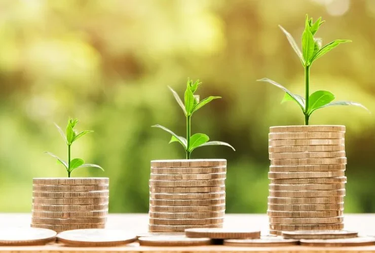 Bntamnh e: The Powerful New Concept Transforming Digital Innovation