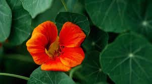 Regal Buzz: Your Ultimate Guide to Trends, News & Lifestyle Updates