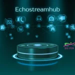 echostreamhub: A New Era of Interactive Digital Entertainment