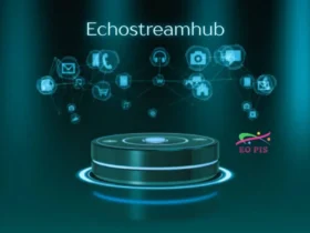 echostreamhub: A New Era of Interactive Digital Entertainment