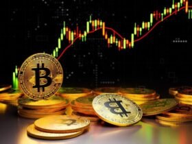 Business Robthecoins: The Evolution of Crypto Trading